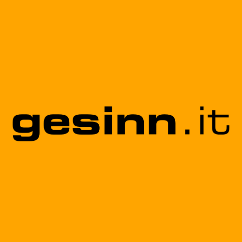 Datei:gesinn.it orange 500x500.png